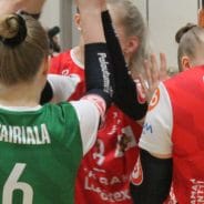 Pelipaitahuutokauppa