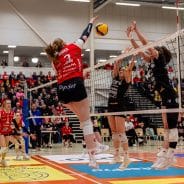 Yhdeksäs LP-semma 19.2.2026